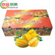 京果怡人現(xiàn)貨福建漳州甜楊桃 6個(gè)裝/12個(gè)裝 12個(gè)禮盒裝 水果當(dāng)季 12個(gè)禮盒裝