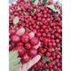 東北野生特級新鮮山里紅小紅果小山楂紅果水果擠山里紅皮 2500g