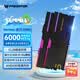 宏碁掠奪者（PREDATOR）48G(24G×2)套裝 DDR5 6000頻率 臺式機(jī)內(nèi)存條 Hermes冰刃系列 RGB燈條(C28) 石耀黑 AI電腦配件
