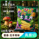 天使見手青土豆片100g*4袋【獨特菌香】薯片 聚會追劇休閑零食小吃