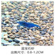 春瑞黑殼蝦水族箱水草缸清潔除藻工具淡水觀(guān)賞蝦大和藻蝦寵物活體飼料 藍寶石蝦10只+2只抵損耗
