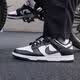 NIKE板鞋耐克男鞋2026夏季新款DUNK LOW RETRO潮流耐磨休閑鞋通勤鞋 HF5441-100 42