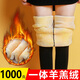 浪莎冬季棉褲女加絨加厚打底褲羊羔絨保暖褲東北特厚超厚七夕送老婆 黃金色羊羔絨1000克 1條 均碼 （90-140斤）