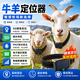 哈依牛牛羊定位器gps北斗衛星山區放牧馬動物牲畜遠程追蹤跟蹤防丟神器j 5G太陽能兩充1.7萬【精準定位+圍欄報警+防離線】 牛羊定位器-認準哈依牛