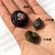 興國海海缸食藻螺  塔螺蠑螺織紋螺紫底星螺活體海水眼螺翻除藻螺 塔螺2cm