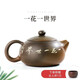 坭興六堡西施壺坭興陶茶壺媲美紫砂壺普洱六堡茶純全手工泥興陶茶壺小巧 一花一世界