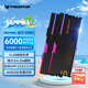 宏碁掠奪者（PREDATOR）32G(16G×2)套裝 DDR5 6000頻率 臺式機內存條 Hermes冰刃系列 RGB燈條(C28) 石耀黑 AI電腦配件