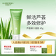 璦露德瑪蘆薈膠凝膠45g 補水保濕曬后舒緩修護