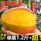 京地達攀枝花凱特芒果 凈重5斤巨無霸600g+肉厚無絲香甜新鮮水果包郵