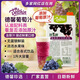Delthin珍果鮮葡萄汁1L濃縮果汁飲料多肉葡萄原料濃漿商用水果奶茶店專用 葡萄汁 1L