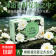 洗臉香皂控油保濕潔面皂山茶花皂潔面清潔 山茶花皂【約100g】 1個