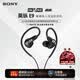 索尼（SONY）【新品上市】INZONE英縱E9 賽事級入耳監(jiān)聽耳機 虛擬7.1聲道 FPS聲學(xué)結(jié)構(gòu) USB音頻盒 游戲耳機  黑色