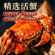 【活蟹】興化大閘蟹鮮活現(xiàn)貨公母大螃蟹海鮮水產(chǎn)生鮮河蟹送禮禮品 全母3.5兩8只