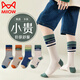 貓人男童襪子棉襪青少年學(xué)生長(cháng)筒襪兒童大童男孩秋冬高筒籃球長(cháng)襪高腿 拼色彩條男 4雙 12歲以上 (2XL) （適合38-42碼）