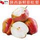 田令達(dá)陜西彩虹梨當(dāng)季現(xiàn)摘紅皮早酥梨脆甜多汁孕婦稀有新鮮水果應(yīng)季整箱 9斤精品大果裝【店主力薦】