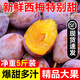 果燃彬彬現貨新疆正宗法蘭西西梅3/5斤伽師新鮮甜西梅李子孕婦水果禮盒 5斤  中果丨超值實(shí)惠 JD/順豐送貨上門(mén)