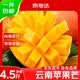 京地達云南蘋果芒澳芒凈重4.5斤單果350g+京東自營水果源頭直發包郵