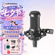 鐵三角（Audio-technica） AT2035直播麥克風主播專用 麥克風話筒k歌 主播專業(yè)錄音話筒 專業(yè)設備 電腦麥克風聲卡調試 AT2035黑色【品牌TOP1】