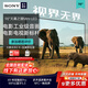 索尼（SONY）4K高清98英寸巨幕大屏K-98XR50 25年新品5系MiniLED電視機 XR芯片 無開機廣告一級能效 X90L升級款 98英寸 【咨詢客服享安裝優惠】