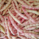 壽禾 四季豆種子蕓豆黃金鉤豆角架豆菜豆蔬菜種孑秋冬季種籽菜籽 黃金溝黃金勾豆角種子 150g