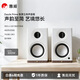 惠威（HiVi）Dazzle Prime有源HiFi音箱 家用無線藍牙書架箱高保真hifi電視電腦音響D300+ 白色