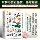 礦物與巖石完全圖鑒