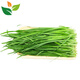 有機(jī)韭菜1斤裝 新鮮蔬菜自然 有機(jī)認(rèn)證之星 清犁基地直發(fā) 無農(nóng)殘 500g