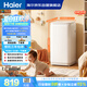 海爾（Haier）波輪洗衣機小型全自動3公斤迷你母嬰兒童家用內衣褲健康 家用電以舊換新京東自營R586