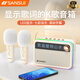 山水（SANSUI）V3戶外K歌音響麥克風(fēng)小型拉卡OK一體機無線藍(lán)牙兒童話筒家庭ktv歌詞顯示音箱【雙話筒+毛絨套】