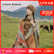 CRANTA KOMEIA披肩女外搭2026新款秋冬季圍巾女士保暖生日七夕情人節禮物 卡其色 高級感送老婆女朋友實用高檔