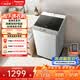 松下（Panasonic）抗菌除螨 波輪洗衣機 10KG大容量 一級能效 全自動家用 XQB100-8QF1 京東自營