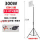 夜市燈地?cái)偀魯[攤用的照明燈擺攤LED強(qiáng)光可充電帶電瓶燈泡超亮帶A 電車款（12-85V通用）300瓦+支架