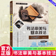 書法審美與基本技法 (第2版)王力春書法9787302643081