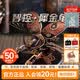 若態(tài)若客智控犀金龜 diy積木拼裝兒童玩具機(jī)械甲蟲拼圖男孩生日禮物女