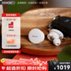 天龍（DENON）PerL 真無線藍牙耳機 降噪HiFi入耳式運動耳機  AH-C10PL 超長續航 藍牙5.0 無延遲聲學技術 AH-C15PL【耳蝸聲學技術/白色】