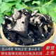 我當家中材石耳巖耳100g-1000g石木耳巖菇曬干石壁花石耳 純野生石耳500g