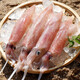 海鮮頌鮮活冷凍魷魚 筆管魚小管海兔子 新鮮魷魚須海鮮水產(chǎn)火鍋燒烤食材 350g(凈重)  *2份