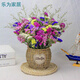 晴旭滿天星干花花束客廳擺設云南勿忘我干花真花裝飾擺件風干論斤 35支  6色勿忘我+情人草 含草編小鼓花籃