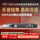 麥樂迪DSP6300卡拉ok混響器 數字音頻前級效果器 家庭影院防嘯叫調音臺處理器含話筒 調音臺均衡器 DSP6300藍牙升級版(含線) 標準版
