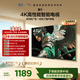 TCL雷鳥電視43雀5 43英寸 一級能效 144Hz高刷 1.5+32GB內存  平板電視43F295C-JN