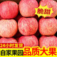 柏饞陜西脆甜紅富士早期蘋(píng)果水果新鮮不打蠟帶皮吃冰糖心丑蘋(píng)果整 9斤超值裝18-24個(gè)左右（凈重9.5斤）
