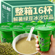 麥口滋0脂綠豆冰沙綠豆沙湯綠豆爽夏季清涼飲料解膩解暑飲品早餐店同款 新款綠豆雪妮冰沙300ml*8杯【日期新鮮】 口感綿密 豆香濃郁