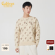 卡賓（CABBEEN）【LOGO刺繡】長袖線衫男2025秋冬滿身提花毛衣保暖舒適潮男針織衫 卡其色15 M /170/48