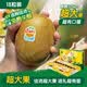 佳沛（zespri）新西蘭 陽光金果18粒超大果原箱單果175-204g 獼猴桃水果禮盒