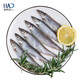 豪鮮品生鮮 加拿大冷凍帶籽多春魚(yú)燒烤食材 胡瓜魚(yú)（大號）凈重500g 盒裝 500g/袋