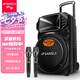 山水（SANSUI）A12-66 12吋廣場舞音響 戶外音響卡拉ok重低音藍牙音響 便攜式K歌移動舞臺拉桿音箱大功率擴音器 旗艦版（12寸重低音+雙麥）