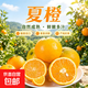 紐荷爾臍橙夏橙新鮮采摘水果 帶箱5斤65mm+普箱（凈重4.5斤））