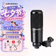 鐵三角（Audio-technica） AT2020 電容麥克風 錄音棚設備套裝專業錄音有聲小說錄制主播直播麥克風電腦K歌外置聲卡手機話筒 AT2020+支架套裝