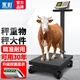 永彩稱重電子秤商用輪子秤家用落地大型臺秤手推滾輪精準(zhǔn)電子稱可折疊電子稱豬秤工業(yè)物流地磅秤 600公斤雙顯【特厚粗支架45*60臺面】輪子秤