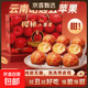 【彩箱禮盒】26年頭茬云南櫻桃小蘋果昭通丑蘋果冰糖心蘋果整箱 帶箱5斤凈重4.5斤